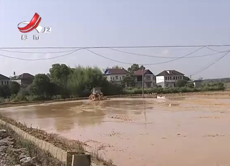 贛州信豐：購(gòu)買(mǎi)農(nóng)機(jī)一年多，補(bǔ)助款為何還不發(fā)放？