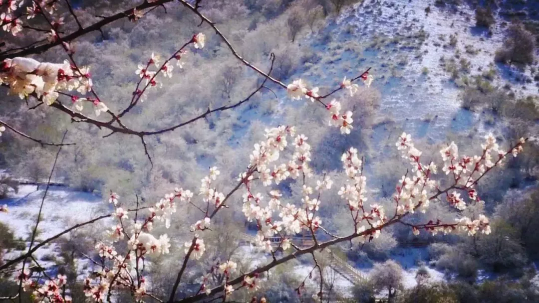 湖南新春美景top10，谁才是你心中的NO.1