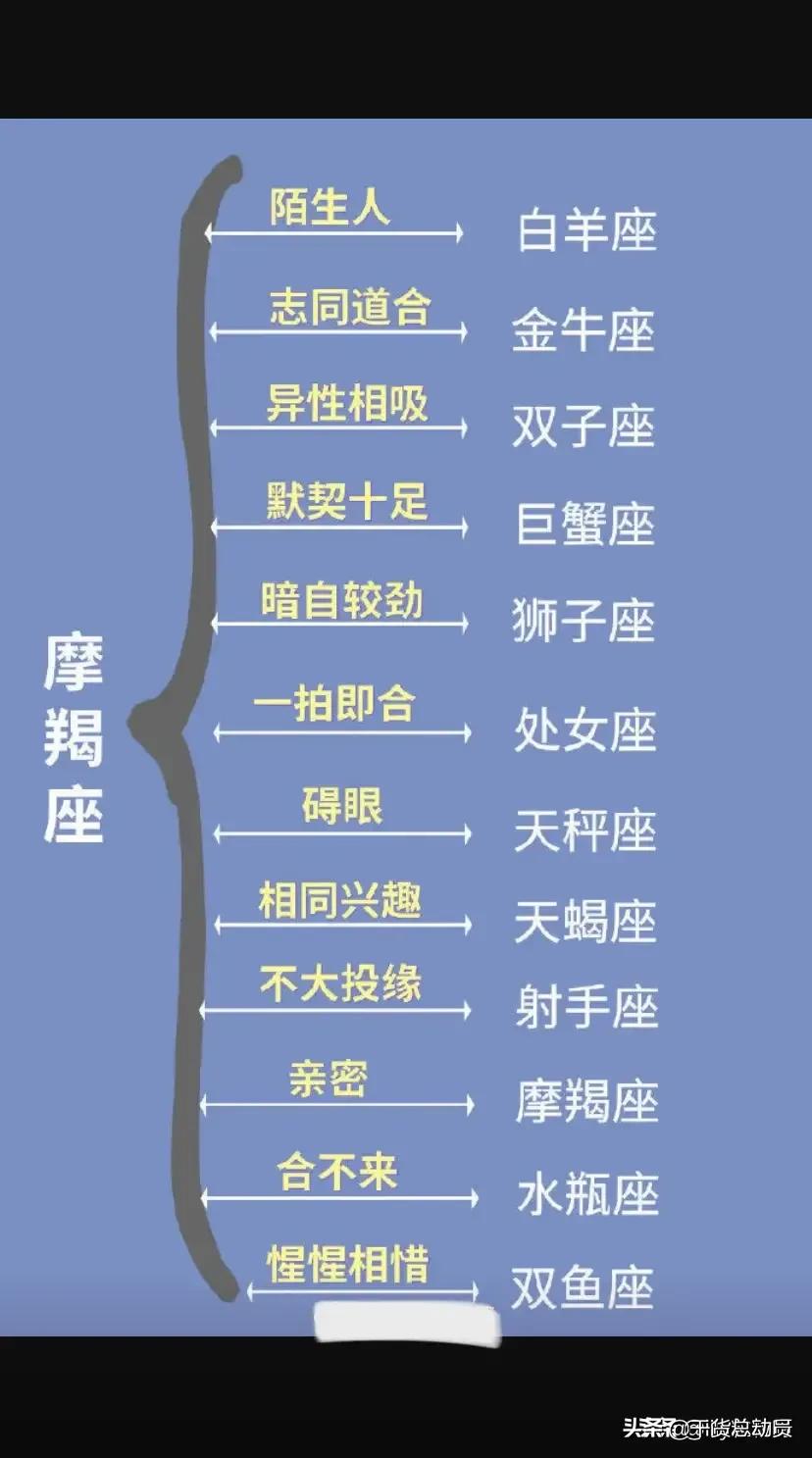 12星座配对指数