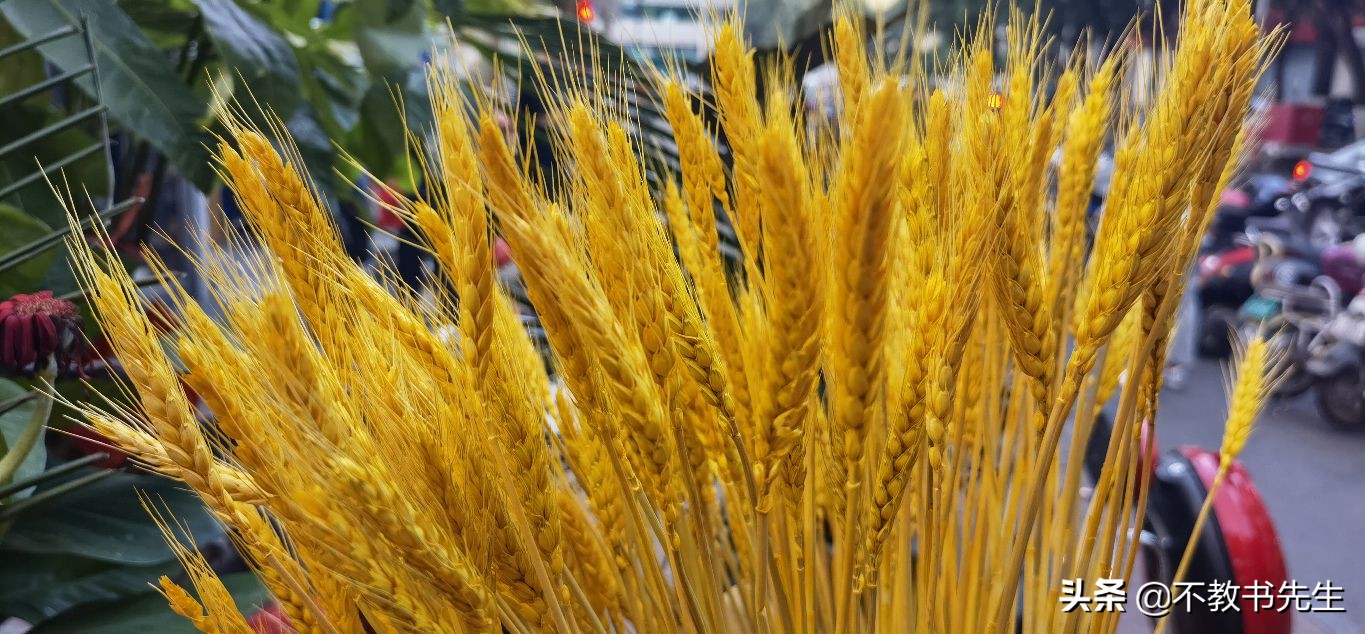 山东45所公办本科高校名单、地理位置、校区信息大全