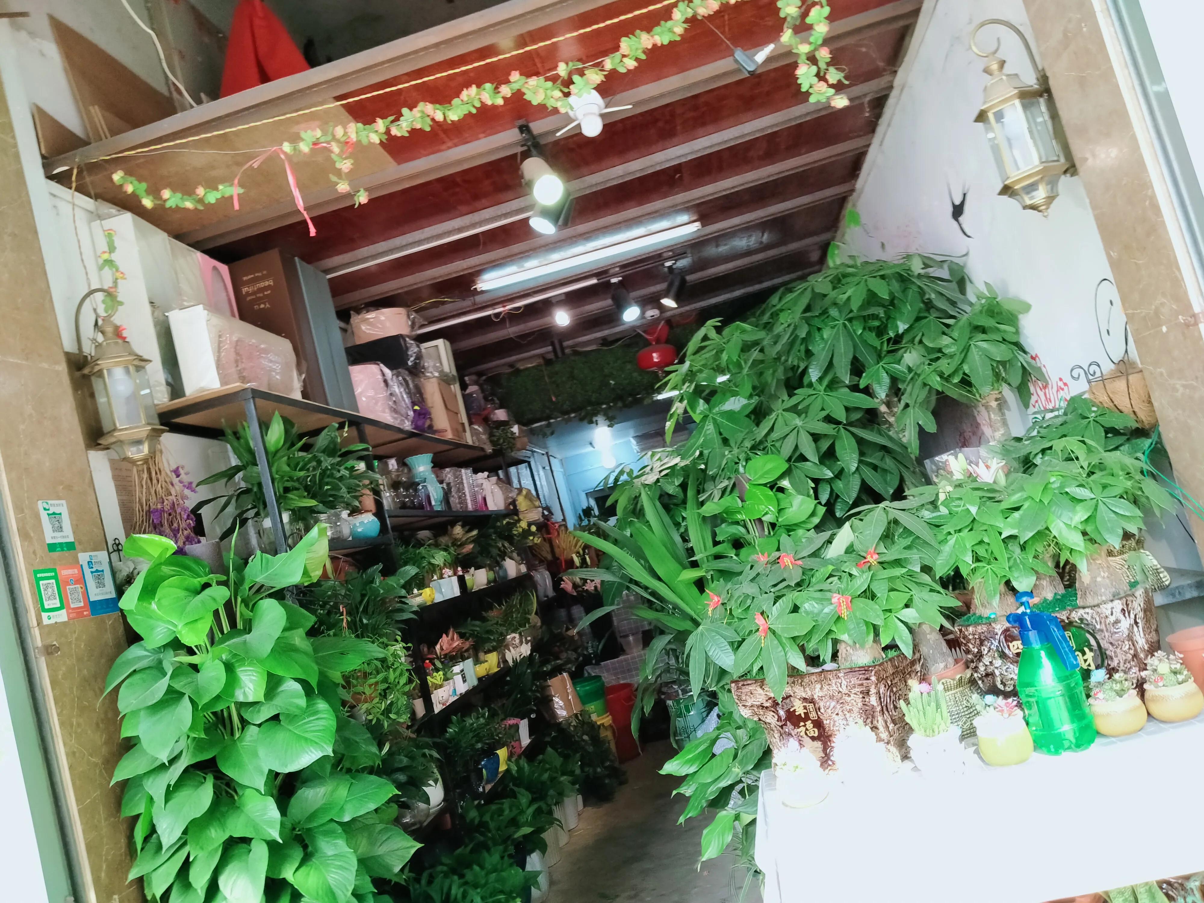 诗歌，好心情(好心情诗歌)