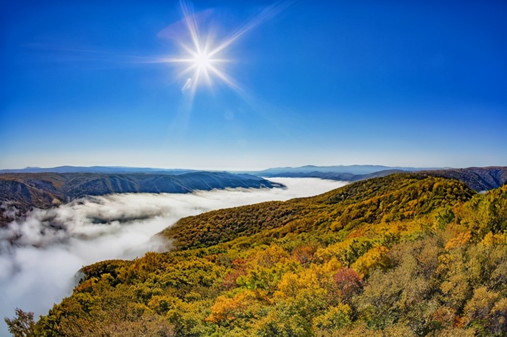 黑龙江省高中的“三朵金花”，各个“学霸云集”，有你的母校吗？