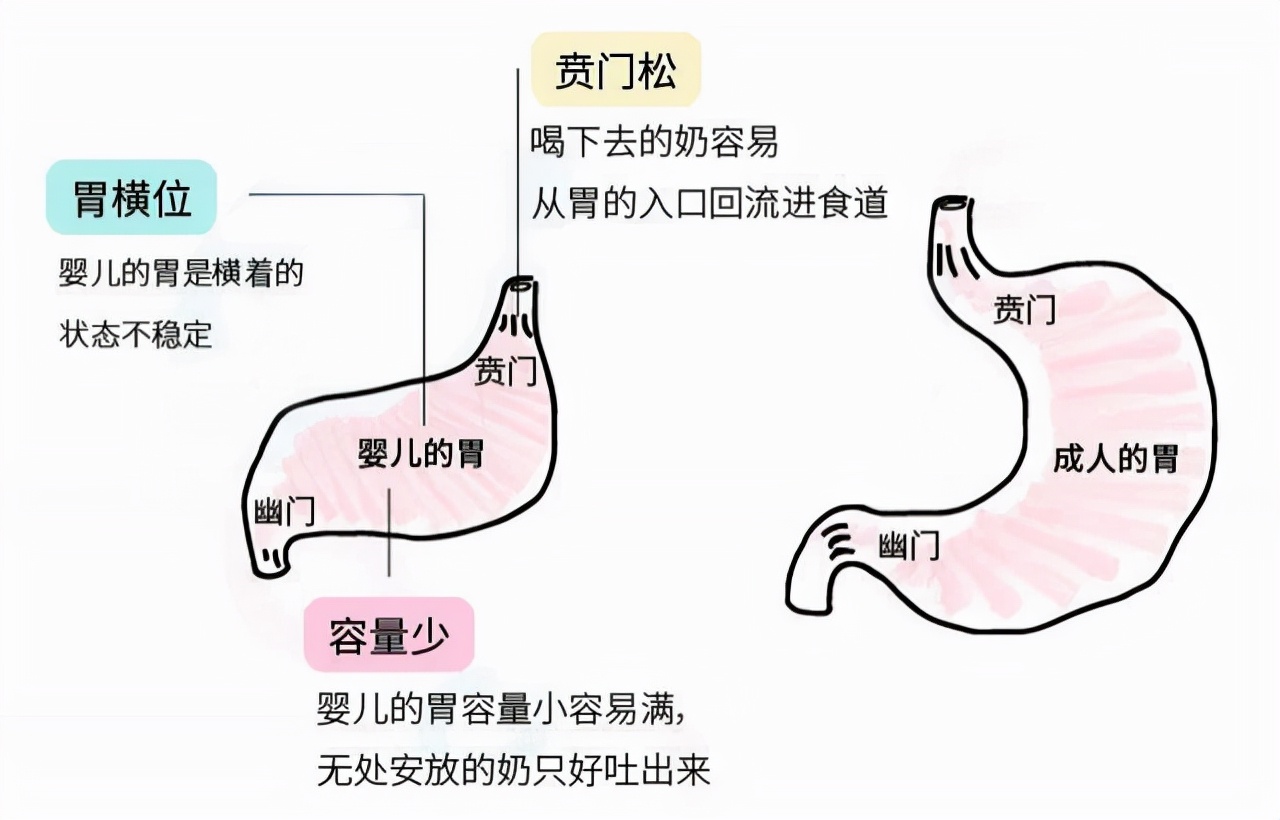 小宝宝爱吐奶，多是喂养方法不对，竖抱拍背是误区，教你正确应对