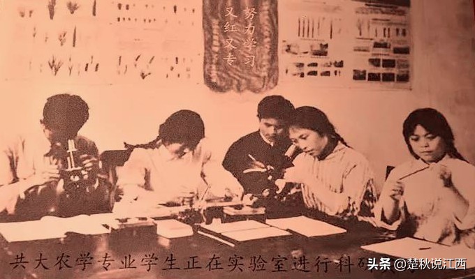 江西青春往事：赣鄱大地上的共产主义大学