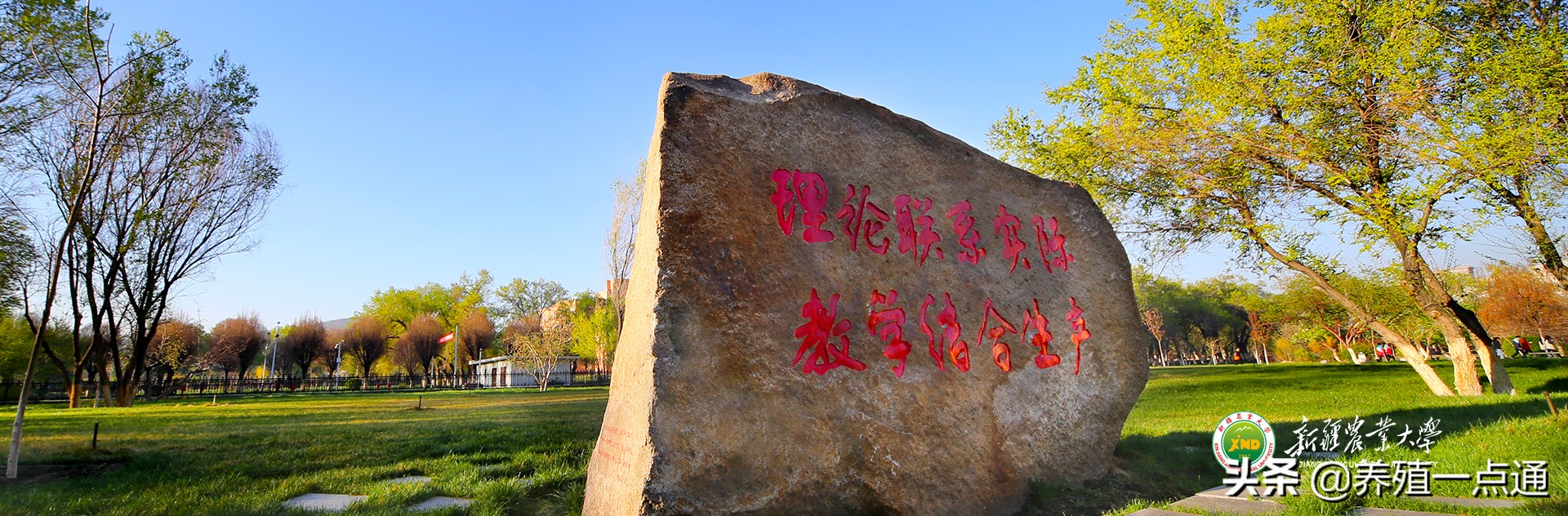 沙尔山别克・阿不地力大（哈萨克族），新疆农业大学教授、博导