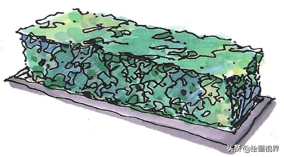 灌木球的种类繁多,常见灌木球有海桐球,红花继木球,小叶女贞,小叶黄杨