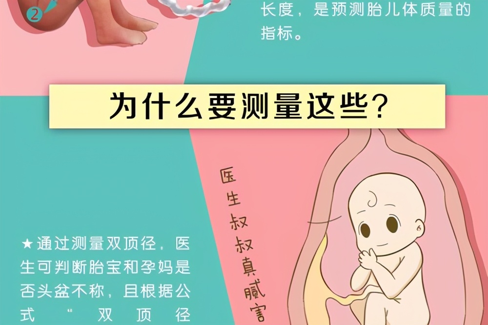 双顶径看男女:头小腿长是女孩,头大腿短是男孩?