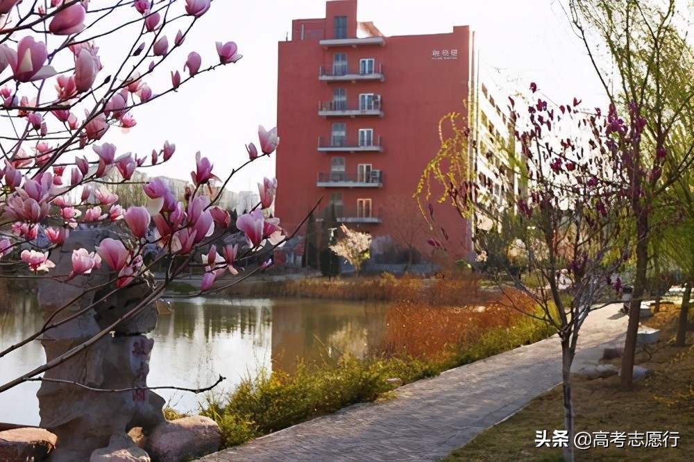 500分以下27所师范院校，大致划分为三个段位，报志愿足够用