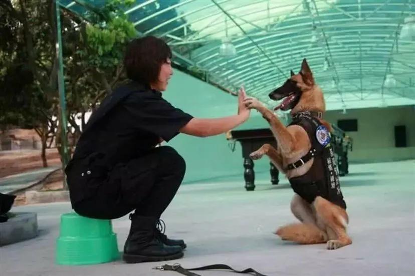 《犬诗十卷》第四卷·警犬