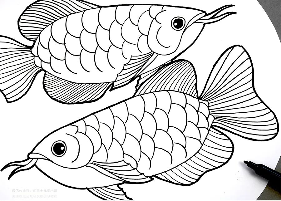 小学生龙的画法(儿童画教程|水彩笔色彩练习《"水中的活化石"龙鱼》)