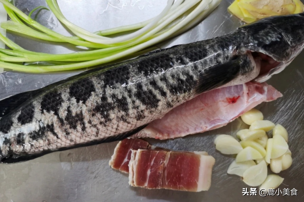 生魚又叫什麼魚手術後生魚湯怎麼煲