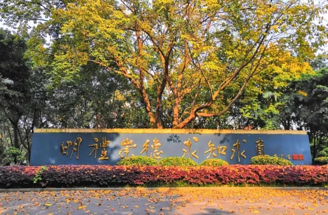 一中大盘点！校区、分校、联盟校、学区共同体，你都了解了吗？