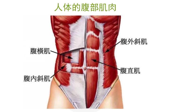 46岁何润东八块腹肌最撩人，比卷腹最难练细节，很多人不知道