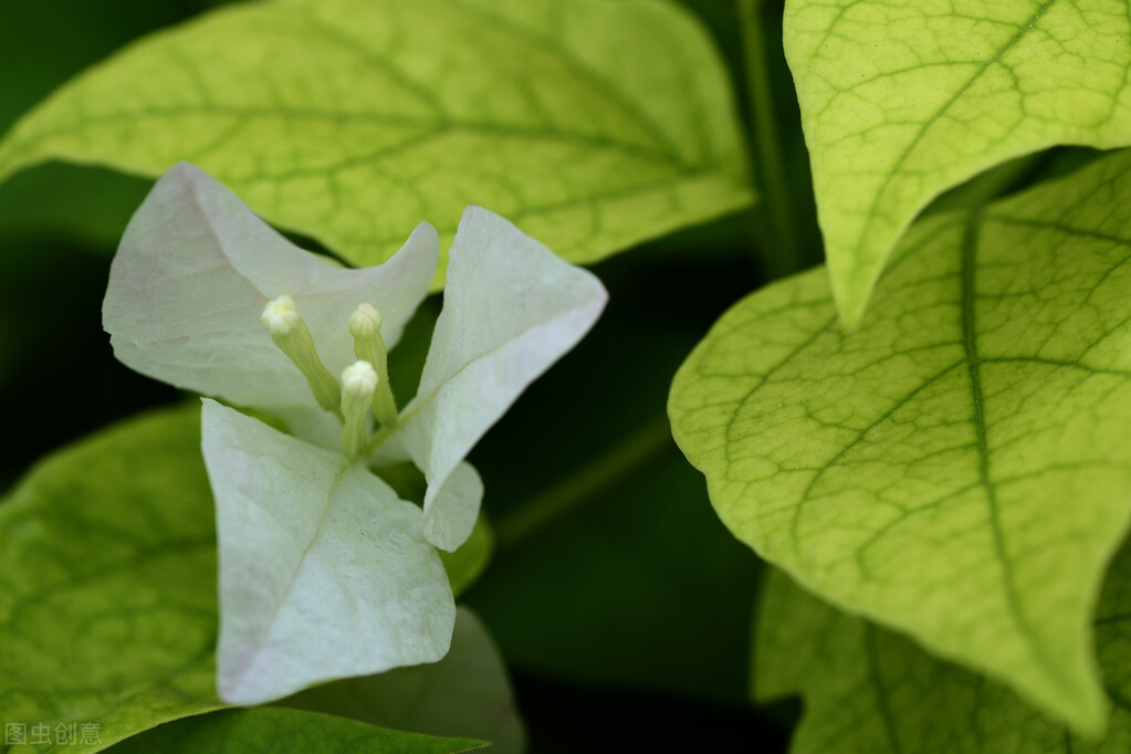 云水蒹葭，淡墨青花，炊烟袅袅几许，棠梨煎雪又落雨