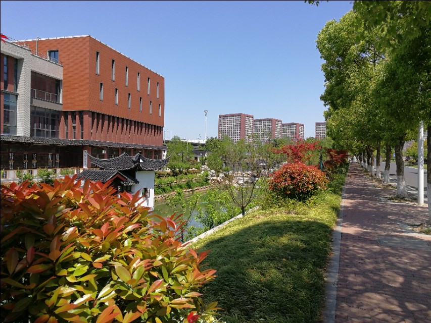这里不仅有大树、高楼，更有大师——带你参观南京大学仙林校区