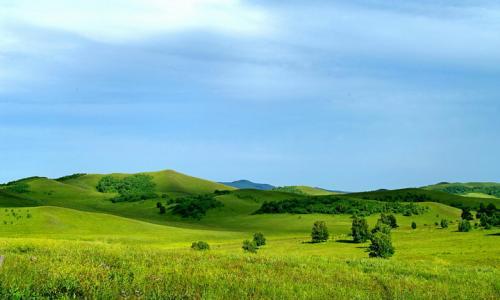 国家林业局关于合作(托管)造林有关问题的通知