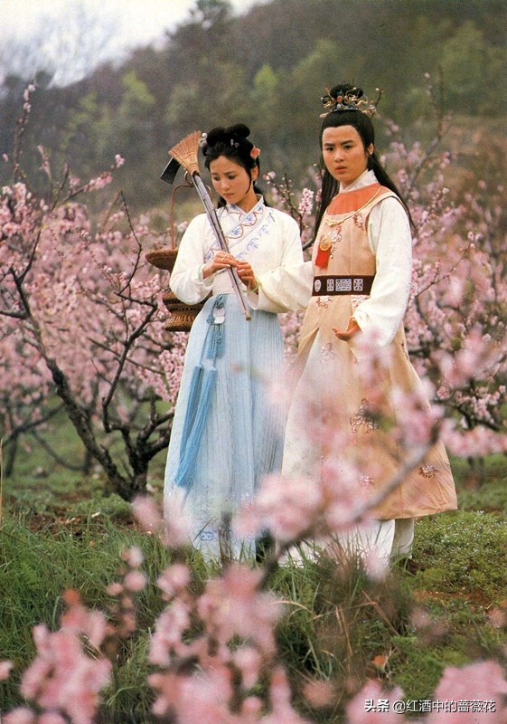 《杨乃武与小白菜》31年，男主淡出，陶慧敏成了“厅长夫人”