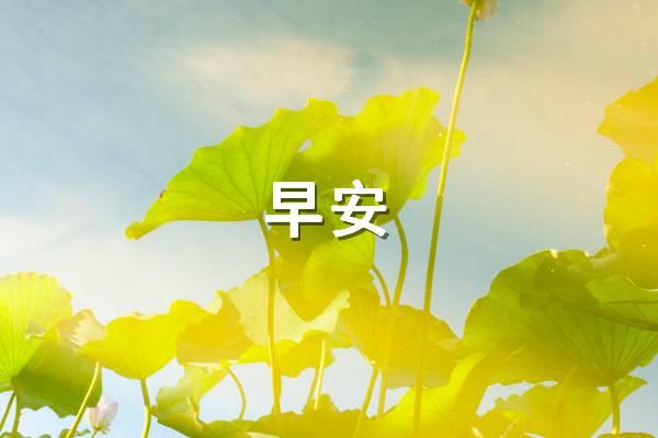 早安心语：默默鼓励自己，坚持不懈，等待那一场破茧的美丽