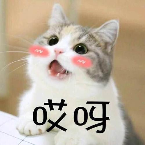 手工账过时了？懂的人都知道手工账在当经依然很重要—附全套实操