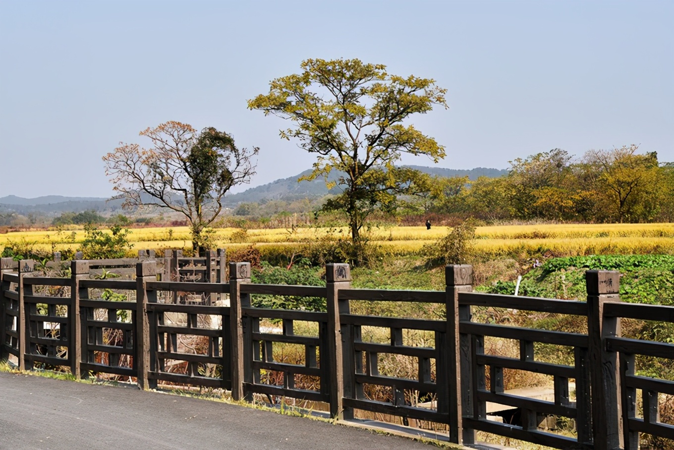 村谷,木兰玫瑰园,木兰草原,胜天农庄和木兰三台寺等景区分布在胡兴咀