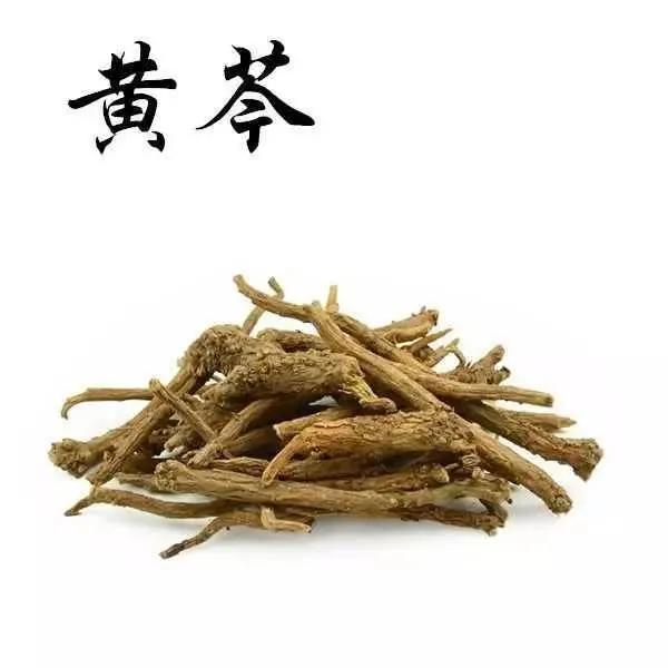 北方藥材,北方藥材種植項目哪種最好