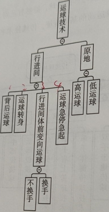 篮球比赛分为多少步(硬核科普~  篮球运动的主要技术、战术)