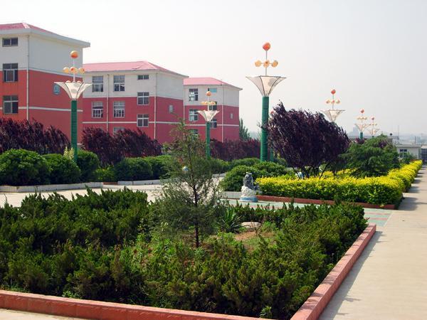 安徽宿州市的这4所高中，高考表现可圈可点，有一所还是私立的