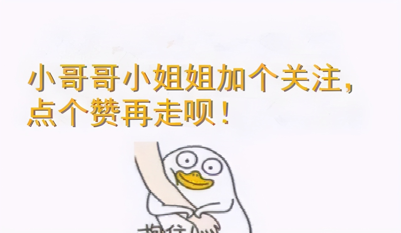 公认“最温顺粘人”的3种猫，你最想养哪只？