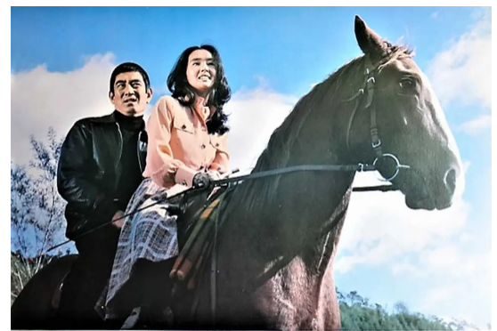 电影《追捕》故事,在日本不温不火,删减的内容里有什么