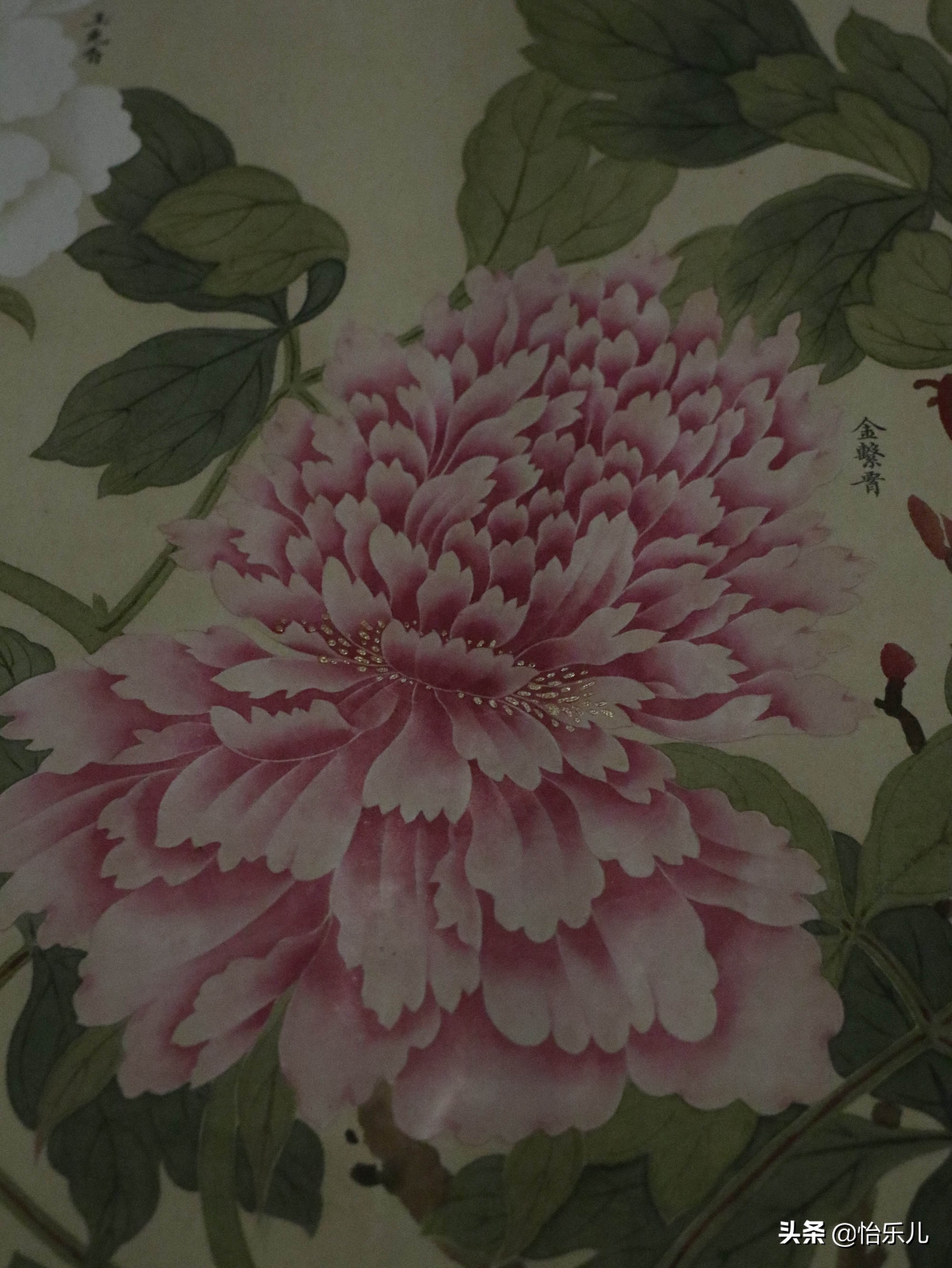 结婚证上印的这朵花不简单，被雍正称为“人间第一花”