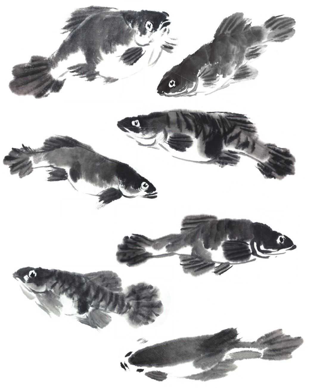 水墨画鱼简单画法图片
