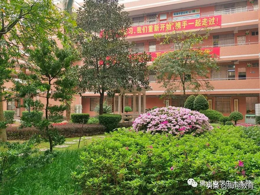 美爆了！佛山8所校园风景大片来袭！哪一间惊艳到你了？