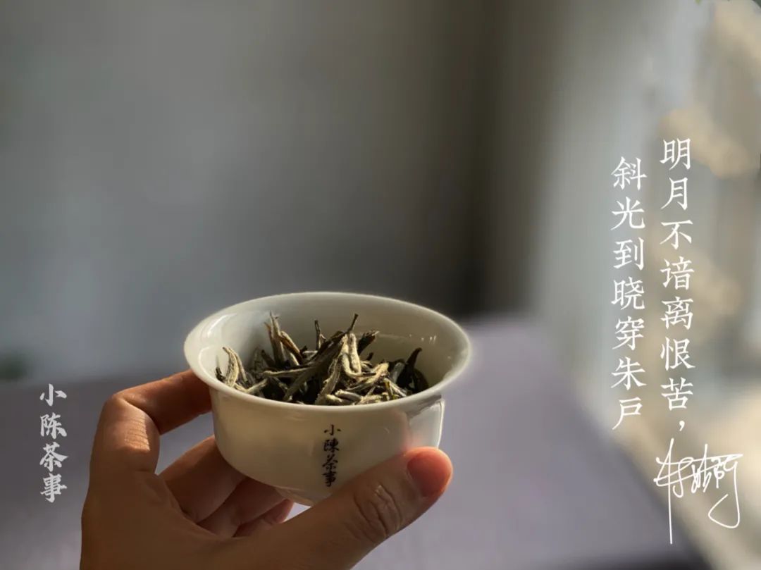 青苔味、苔藓味、丛味、木质味，谁才是武夷岩茶老丛水仙的原味？