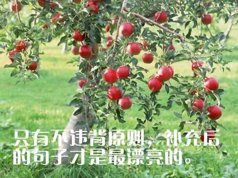 小三语文句式训练系列一 （扩句）