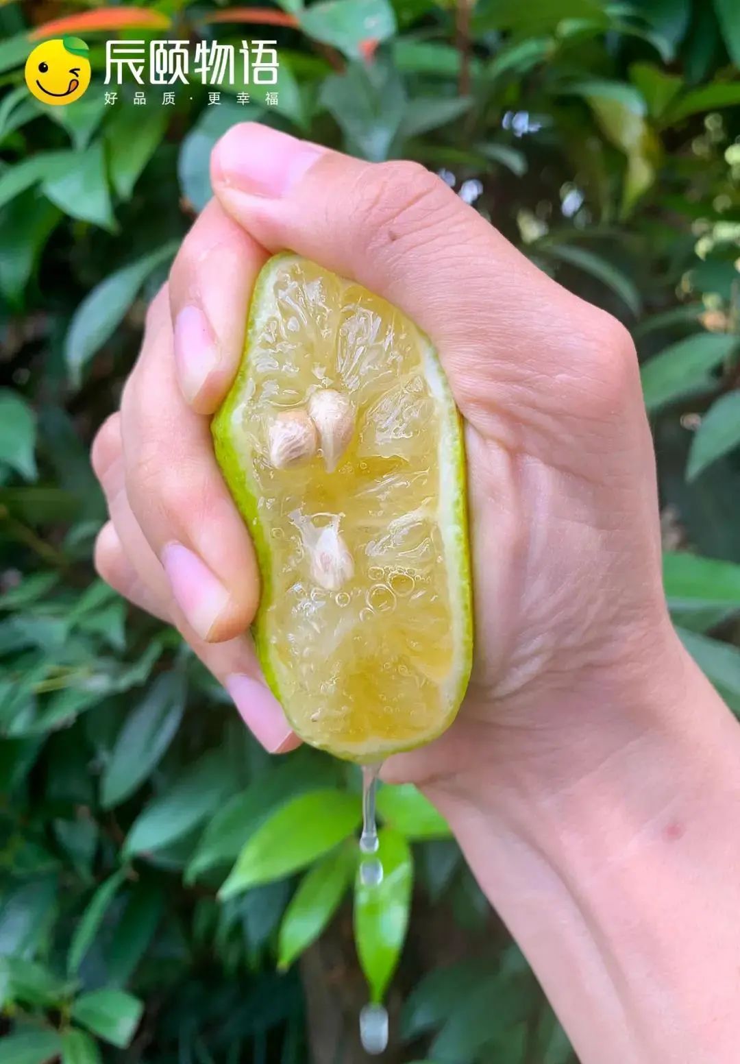 辰颐物语尤力克青柠檬酸爽爆汁vc爆棚的美颜神器