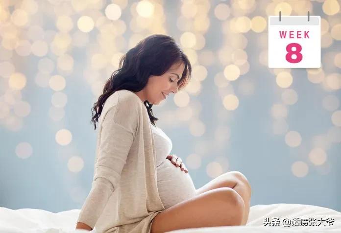 1至40周胎儿发育过程图