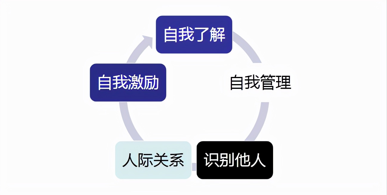 国际标准智力测试完后，终于知道我和牛顿的差距了