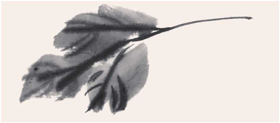 国画知识：常见的五种叶子画法步骤图解，简单易学，小白也能学会