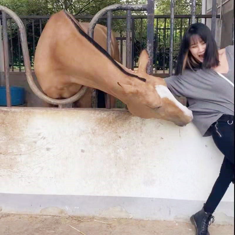 每日一笑：原来大学女生宿舍是这样子啊，真是超乎想象