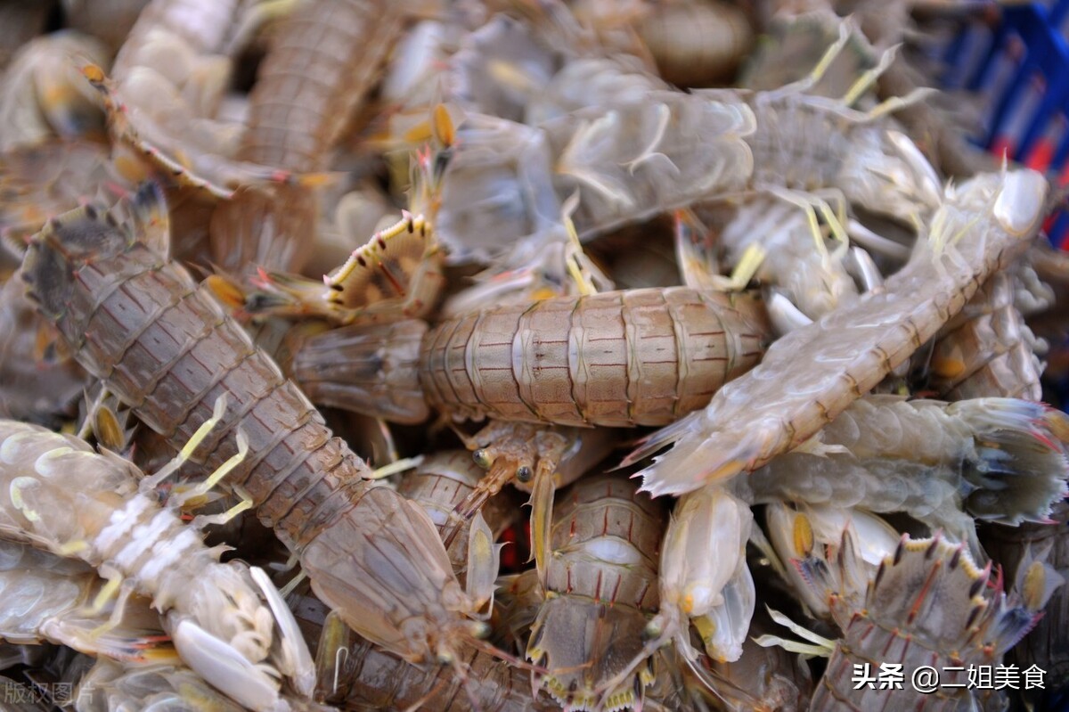 皮皮虾分公母，公的好吃还是母的好吃？老渔民告诉您，以后别买错