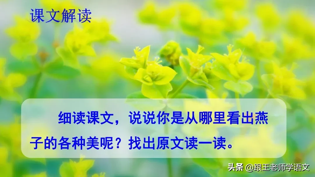 部编语文三年级下册课文2、燕子（朗读+知识点+图解）