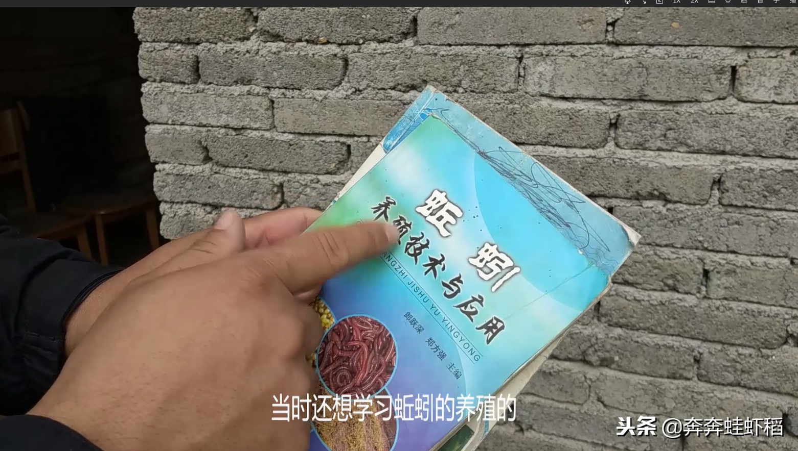 青蛙養殖成本,青蛙養殖一畝要多少錢