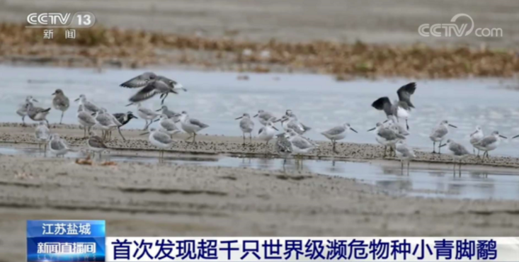 央视报道！世界首创！北京这所“双一流”高校获国内外高度关注！