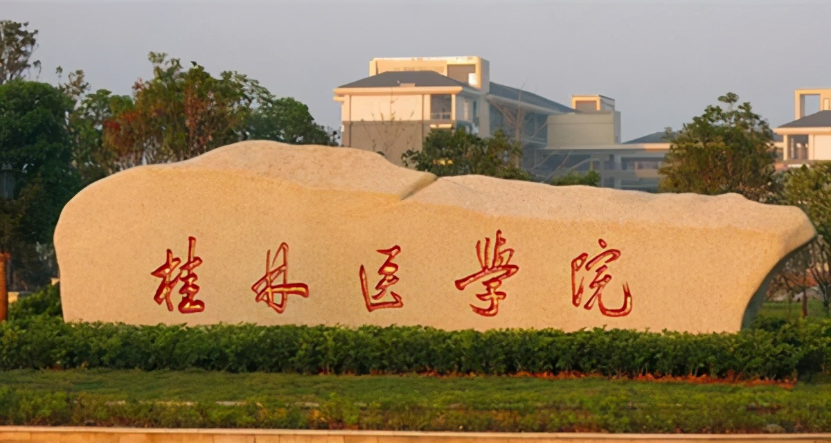 桂林医学院，2020年冲击新增博士学位授权单位，能否成功？