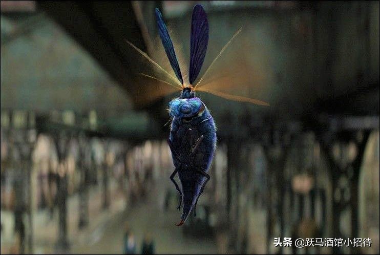 给麻瓜的《神奇动物百科》，魔法世界的动物到底有多神奇（长文）