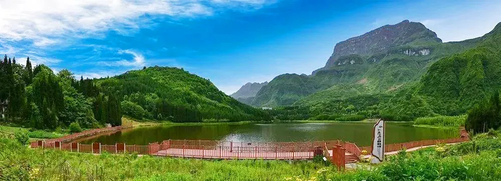 不收门票的世界级风景！赏万亩夏花、观云海日出…成都2天耍来回