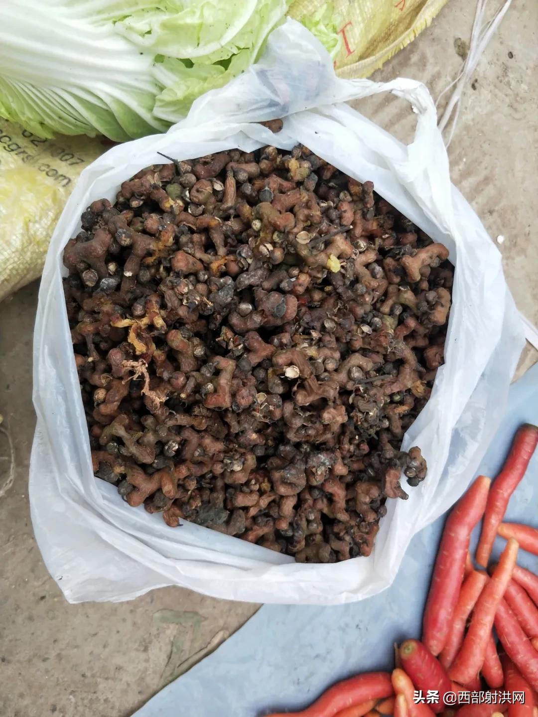 猫儿姜多少钱一斤(走) - 价格百科