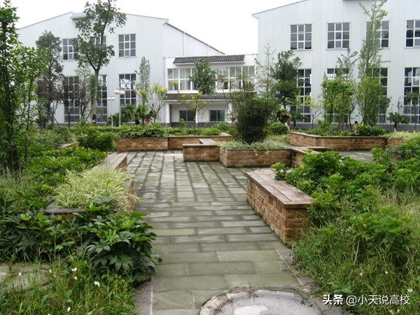 你信么？成都师范学院否认“歧视专升本生”：对所有学生一视同仁