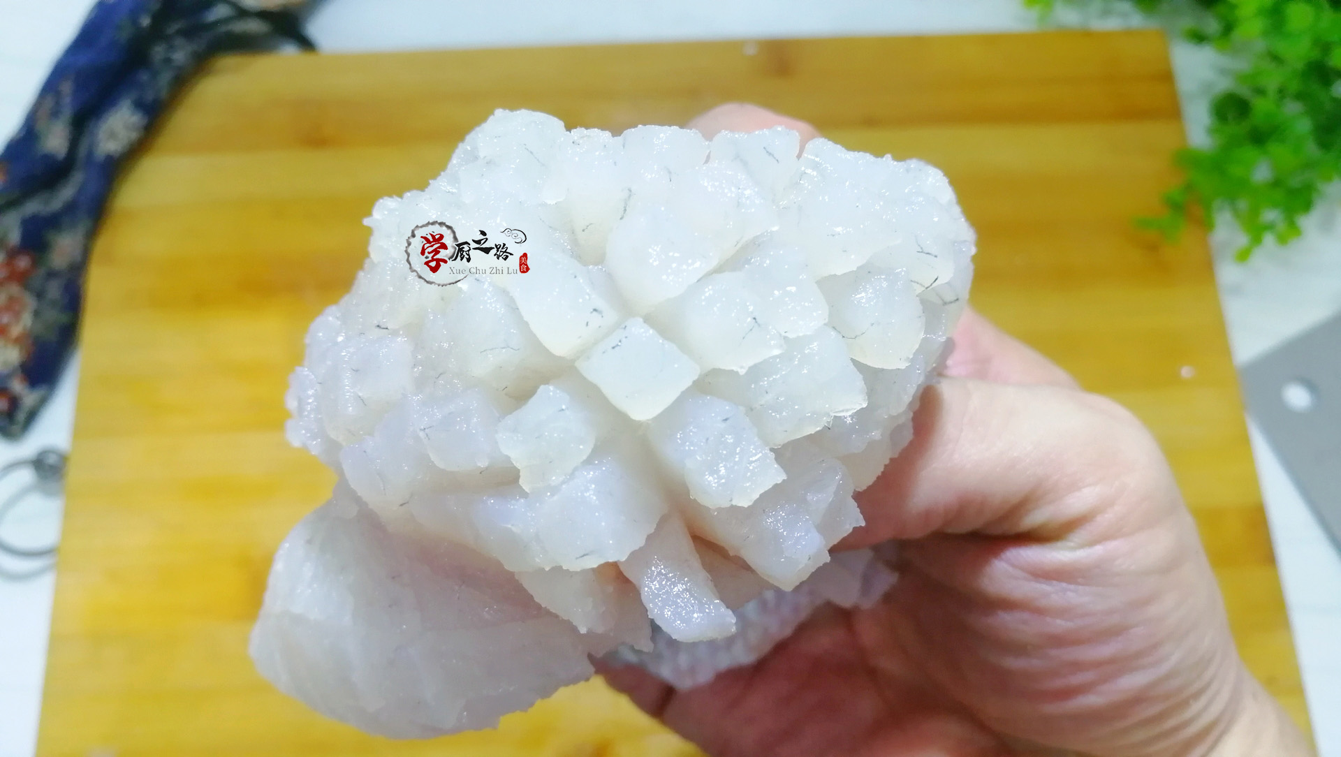 鱼下巴的家常做法（松鼠鱼的正宗制作方法）