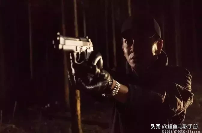法律的盲区,正义的困局《检察方的罪人》(2018)